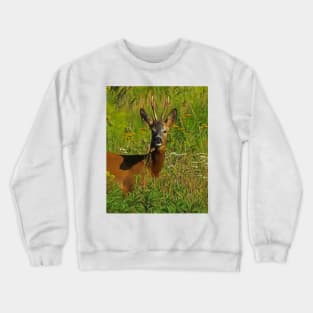 Roebuck Crewneck Sweatshirt